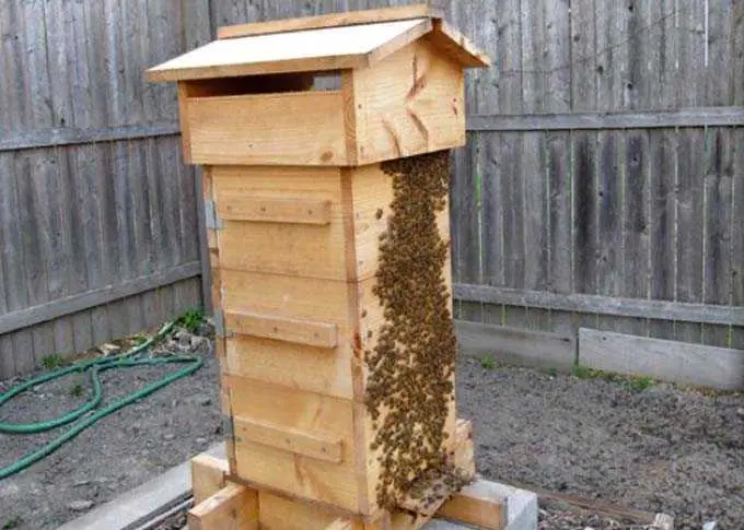 Do-it-yourself PPU hive