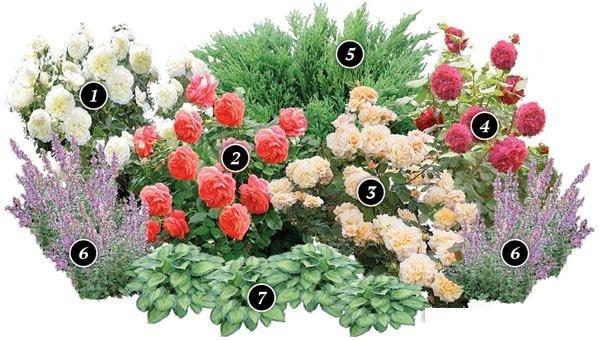 Do-it-yourself rosary: ​​how to competently build a flower garden