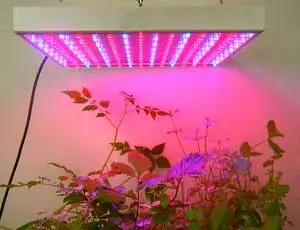 Do-it-yourself seedling lighting with LED strips