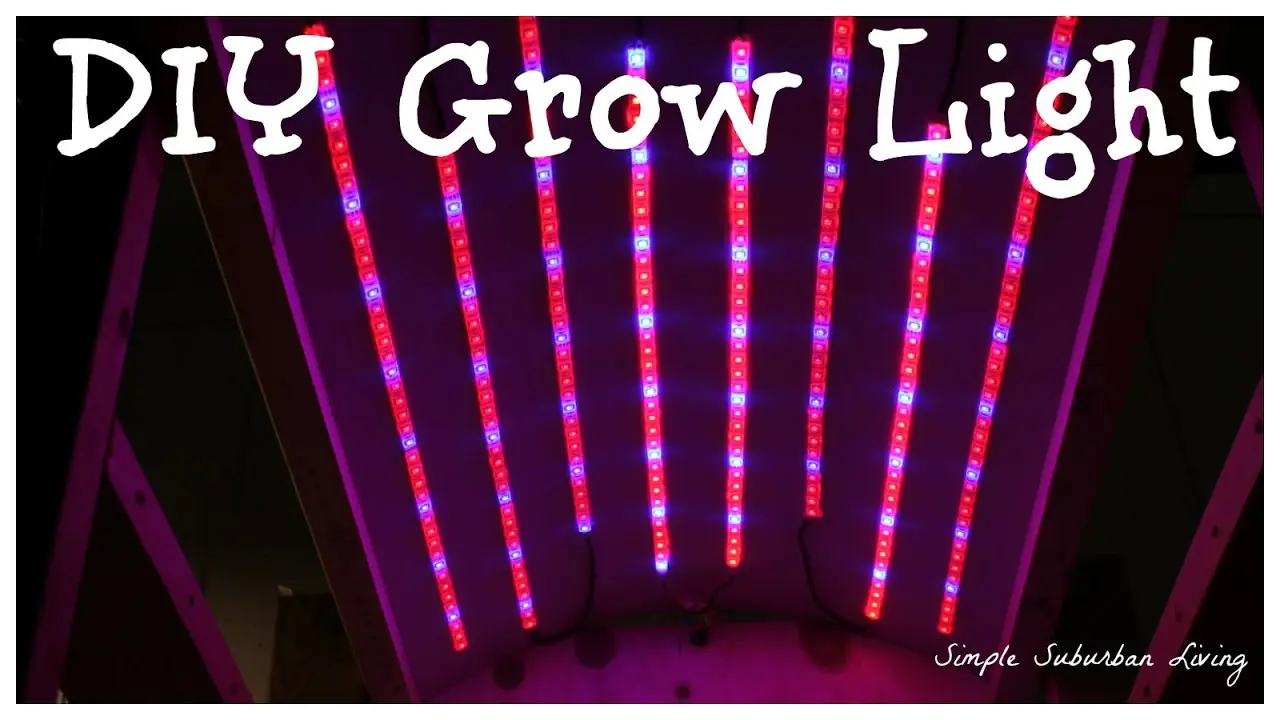 Do-it-yourself seedling lighting with LED strips