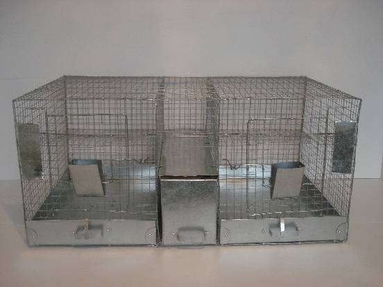 Do-it-yourself showcase and house for a chinchilla