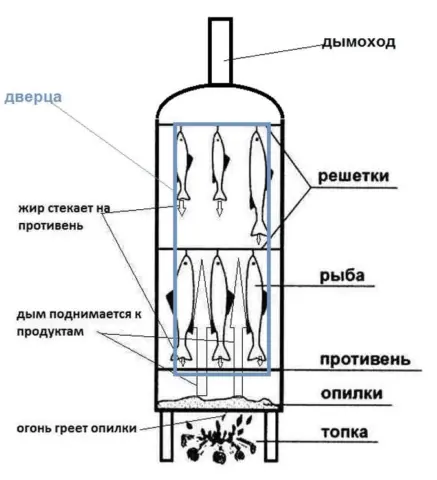 Do-it-yourself smokehouse from a gas cylinder: photos, drawings, video