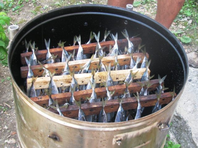 Do-it-yourself smokehouse from a washing machine: video, drawings, photos