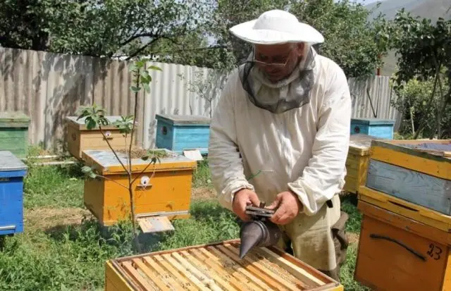 Do-it-yourself smoker for bees