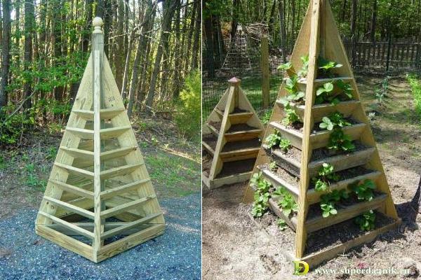 Do-it-yourself strawberry pyramid: step by step manufacturing