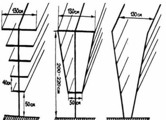 Do-it-yourself support for grapes in the country: photo, diagram, dimensions