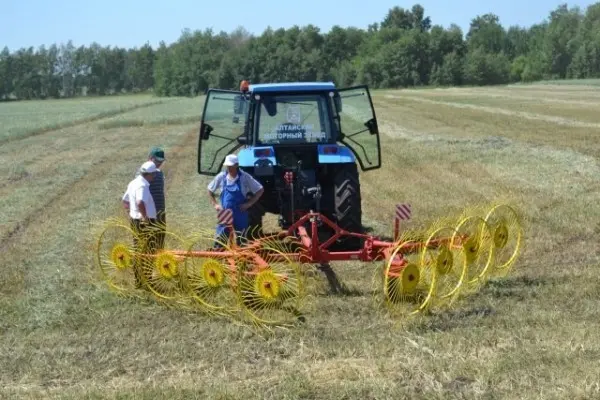 Do-it-yourself tedder rake: instructions