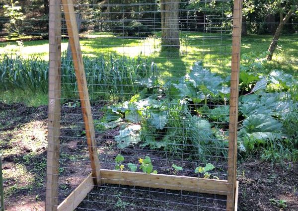 Do-it-yourself trellises for cucumbers: made of metal, wood