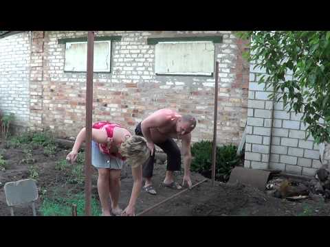 Do-it-yourself trellises for cucumbers: made of metal, wood