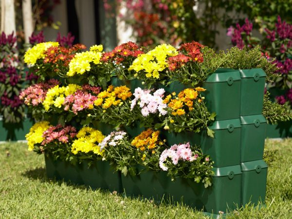 Do-it-yourself vertical flower beds from improvised means