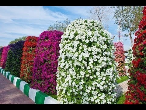 Do-it-yourself vertical flower beds from improvised means