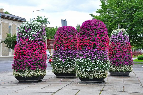 Do-it-yourself vertical flower beds from improvised means