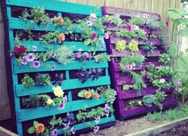 Do-it-yourself vertical flower beds from improvised means