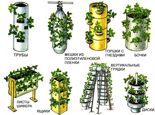 Do-it-yourself warm beds: principle of operation, types (high, recessed, combined) + phased production