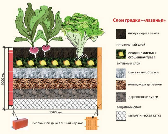 Do-it-yourself warm beds: principle of operation, types (high, recessed, combined) + phased production