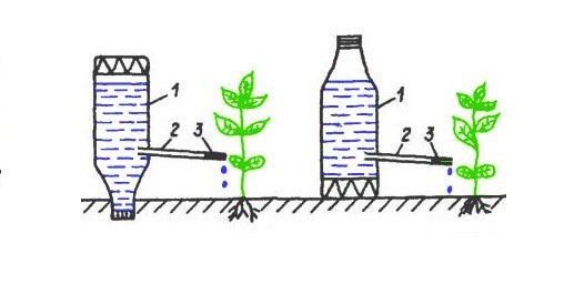 Do-it-yourself watering from bottles in a greenhouse: instructions