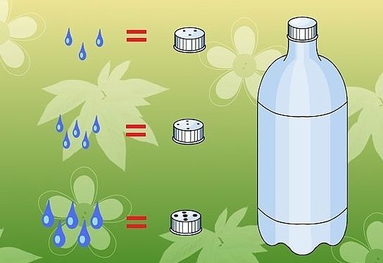 Do-it-yourself watering from bottles in a greenhouse: instructions