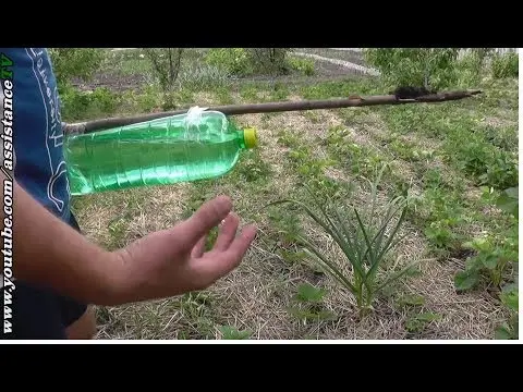 Do-it-yourself watering from bottles in a greenhouse: instructions