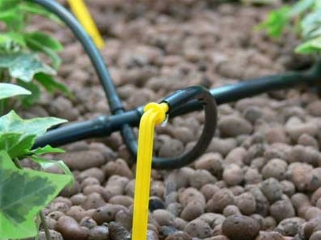 Do-it-yourself watering in a polycarbonate greenhouse