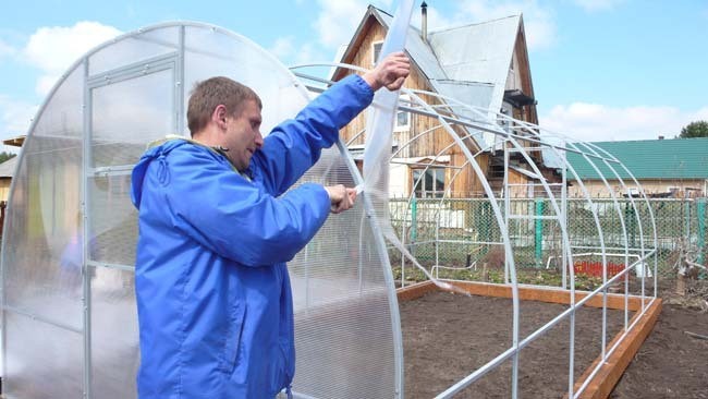 Do-it-yourself window for a polycarbonate greenhouse