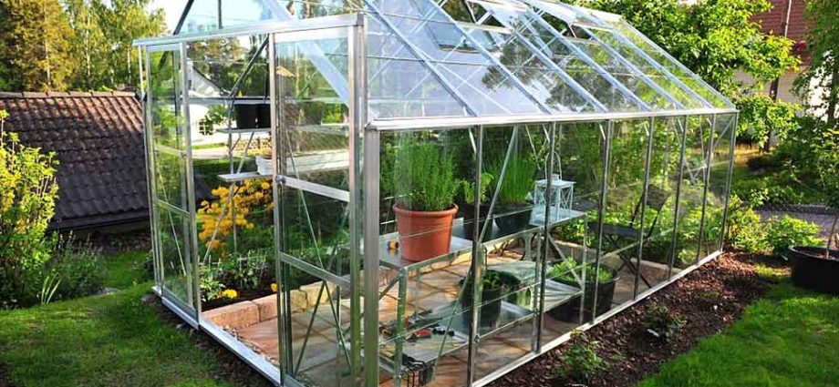 Do-it-yourself window for a polycarbonate greenhouse