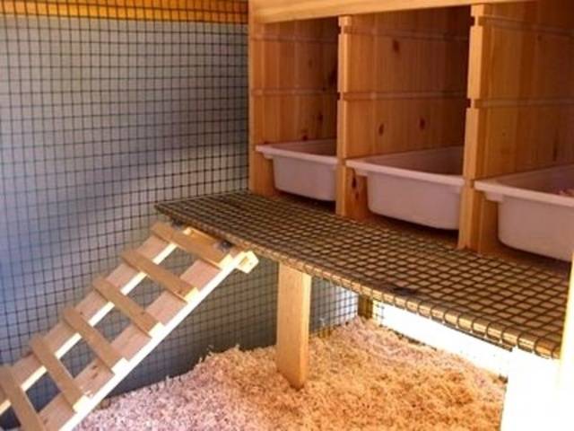 Do-it-yourself winter chicken coop for 100 chickens