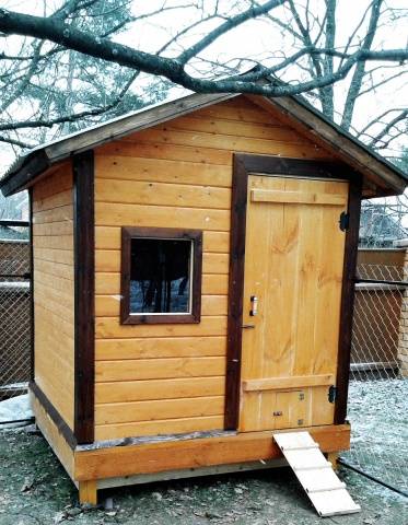 Do-it-yourself winter chicken coop for 100 chickens