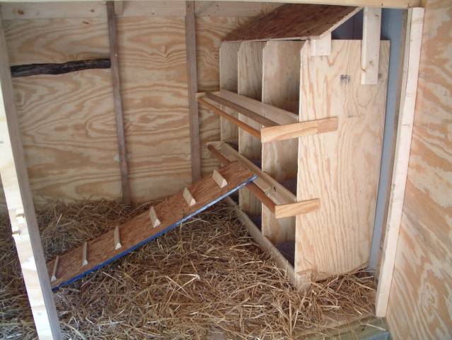 Do-it-yourself winter chicken coop for 100 chickens