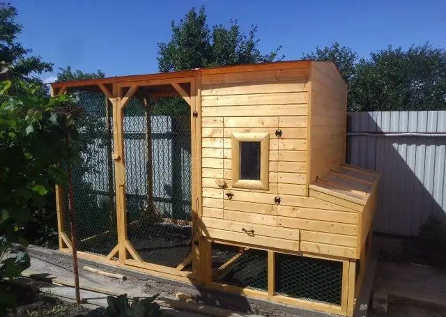 Do-it-yourself winter chicken coop for 100 chickens