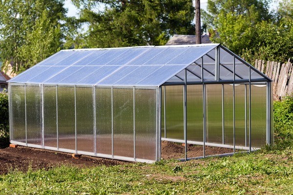 Do-it-yourself winter greenhouses: the best projects with photos