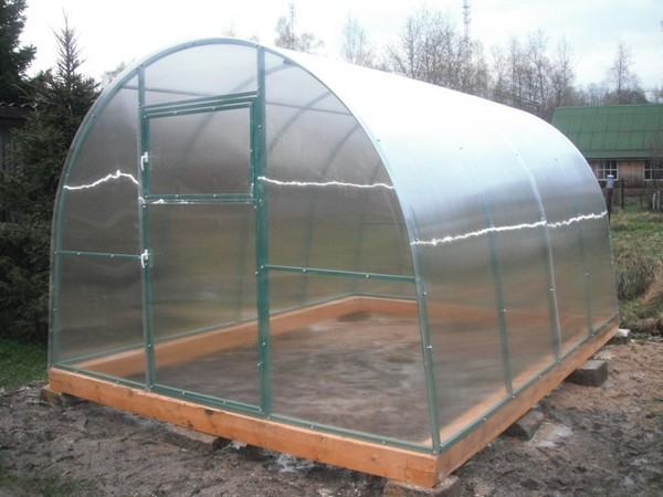 Do-it-yourself winter greenhouses: the best projects with photos