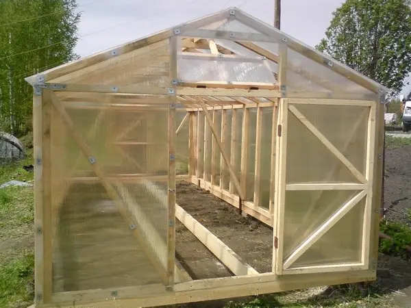 Do-it-yourself winter greenhouses: the best projects with photos