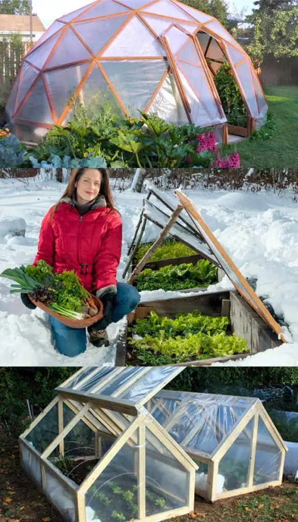 Do-it-yourself winter greenhouses: the best projects with photos