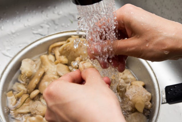 Do porcini mushrooms soak