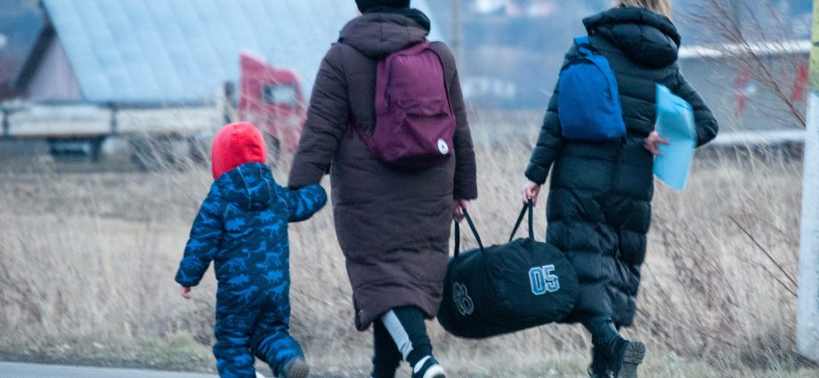 Do you want to help refugees from Ukraine? Check the list of necessary products