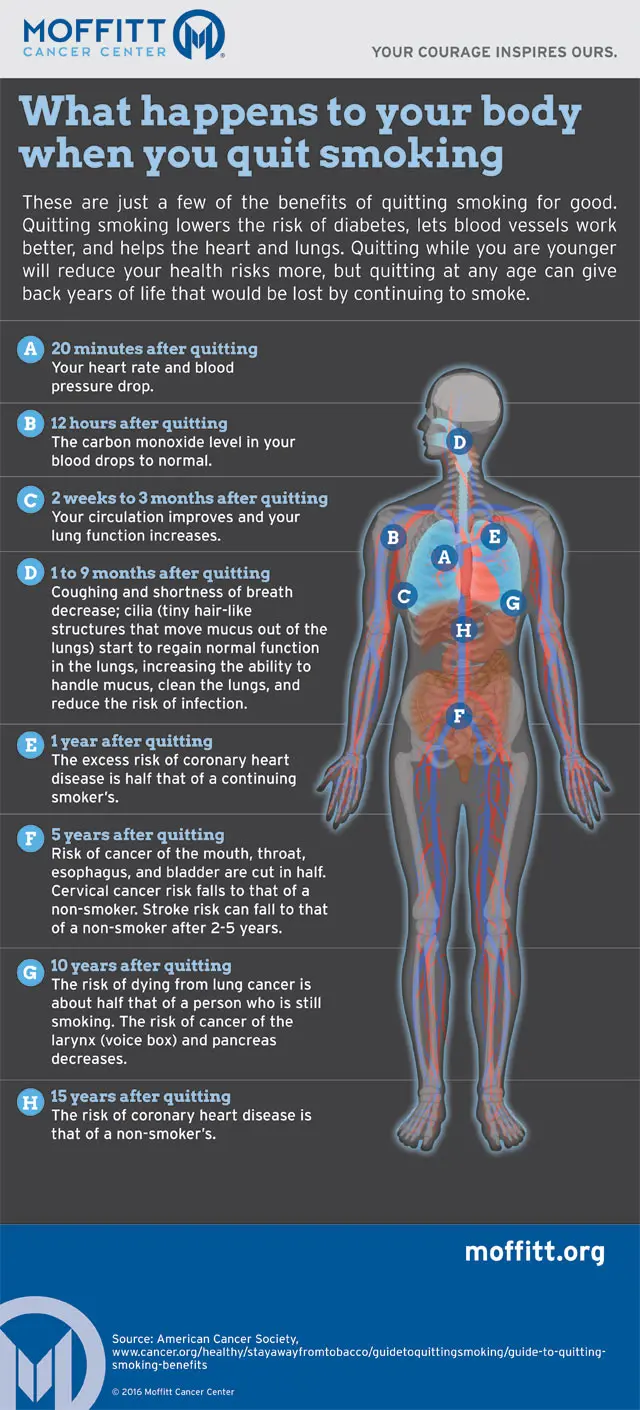 Do you want to quit smoking? Check what will change in your body [INFOGRAPHIC]