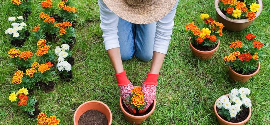 Do you work in the garden in summer? The cardiologist advises you on how to avoid fatigue and overheating