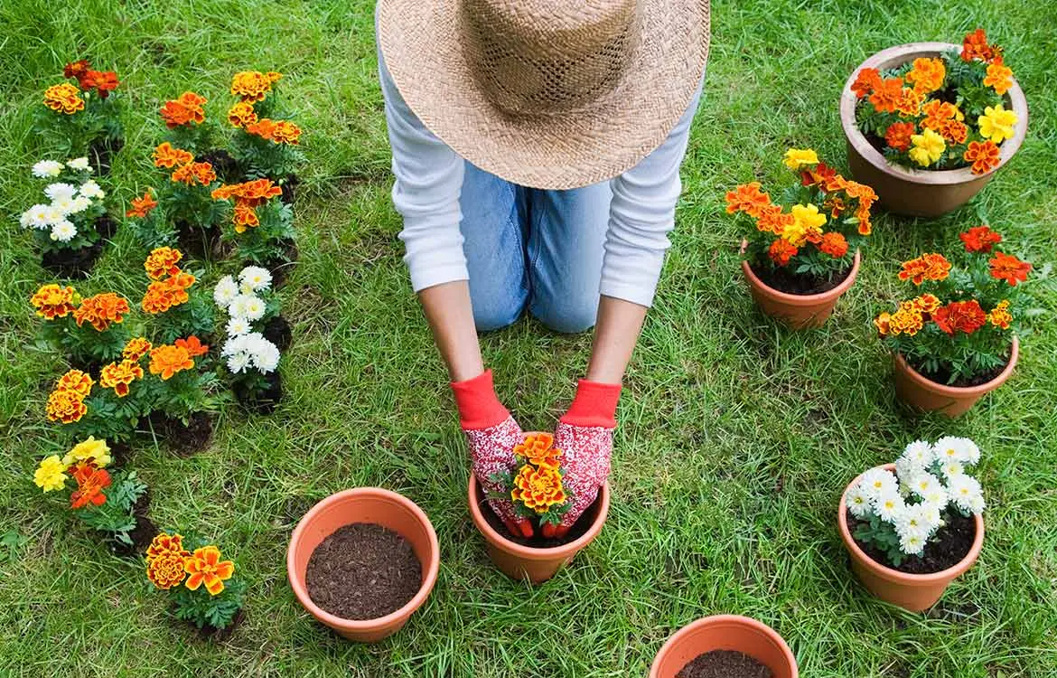 Do you work in the garden in summer? The cardiologist advises you on how to avoid fatigue and overheating