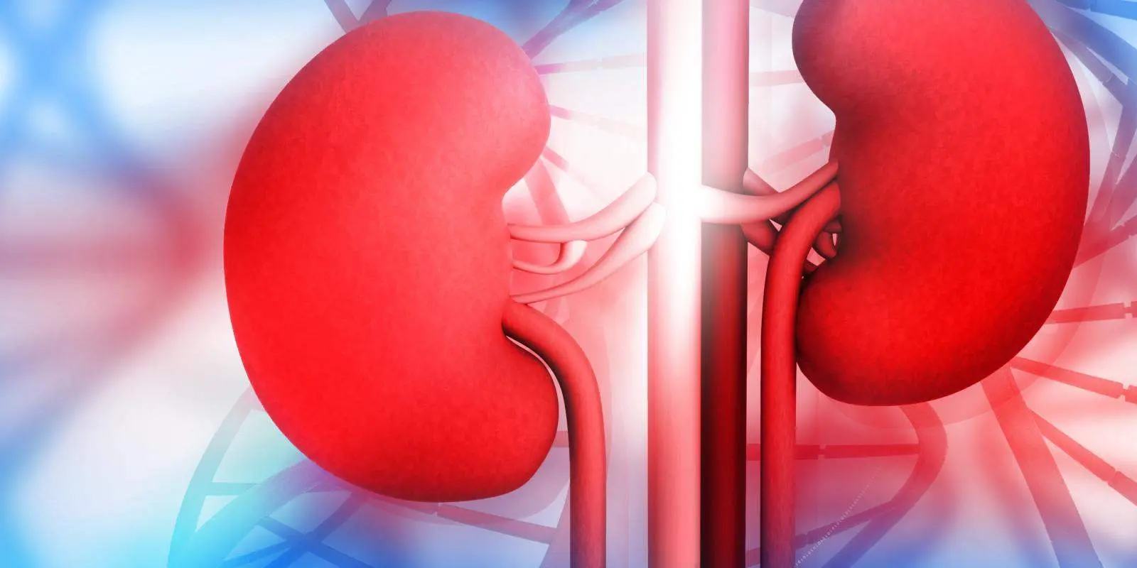 Doctors: Chronic kidney disease is usually caught too late