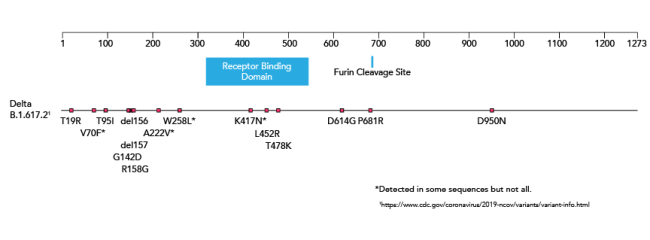 Does Delta Variant Really Have Different Symptoms? [WE EXPLAIN]