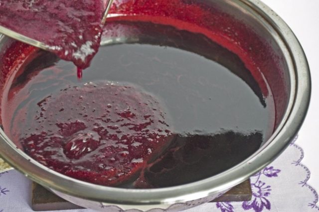 dogwood jelly recipes