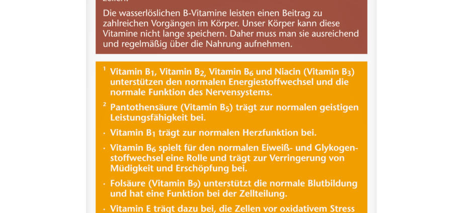 Doppelherz aktiv Lecithin + vit. B &#8211; action, indications, contraindications, side effects