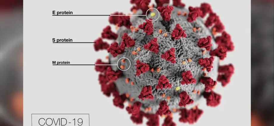 Double mutant coronavirus discovered in India