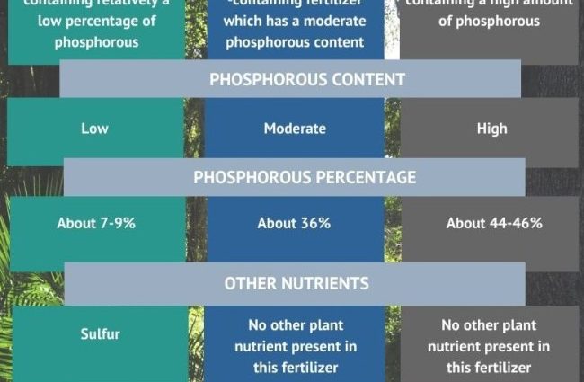 Double superphosphate: application and use