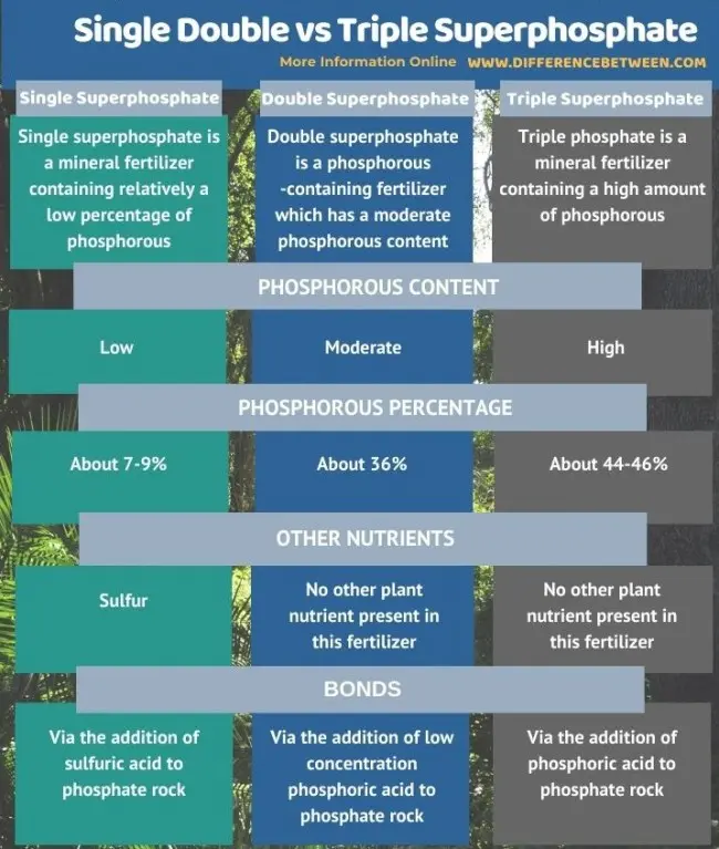 Double superphosphate: application and use