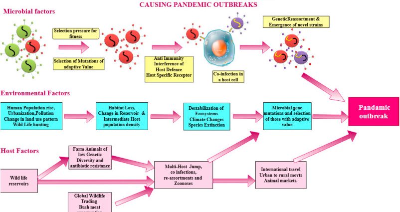 Dr. Sutkowski warns: well-being in a pandemic always comes before the disease