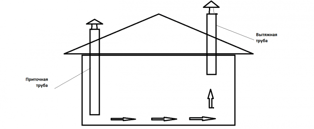 Drawing of a winter chicken coop for 5 chickens