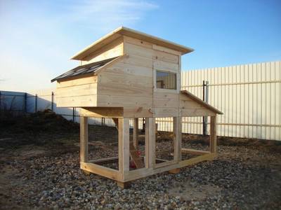 Drawing of a winter chicken coop for 5 chickens