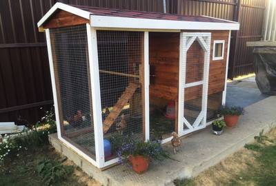 Drawing of a winter chicken coop for 5 chickens