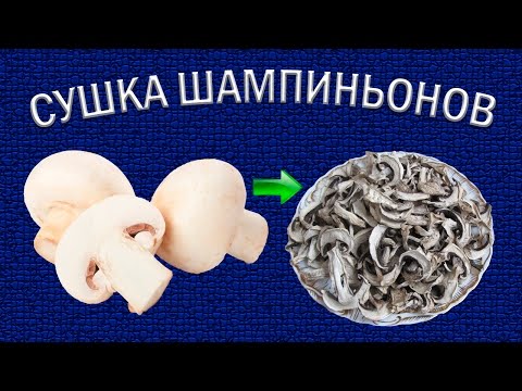 Dried champignons: how to dry in an electric dryer, in the oven